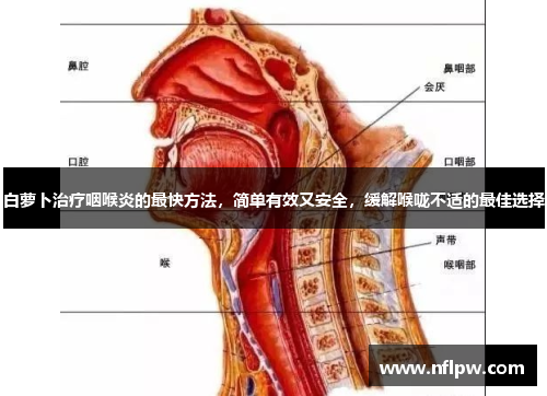 白萝卜治疗咽喉炎的最快方法，简单有效又安全，缓解喉咙不适的最佳选择